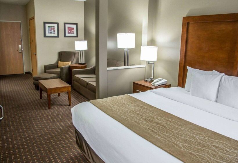 فندق Comfort Inn & Suites Riverview Near Davenport And I80