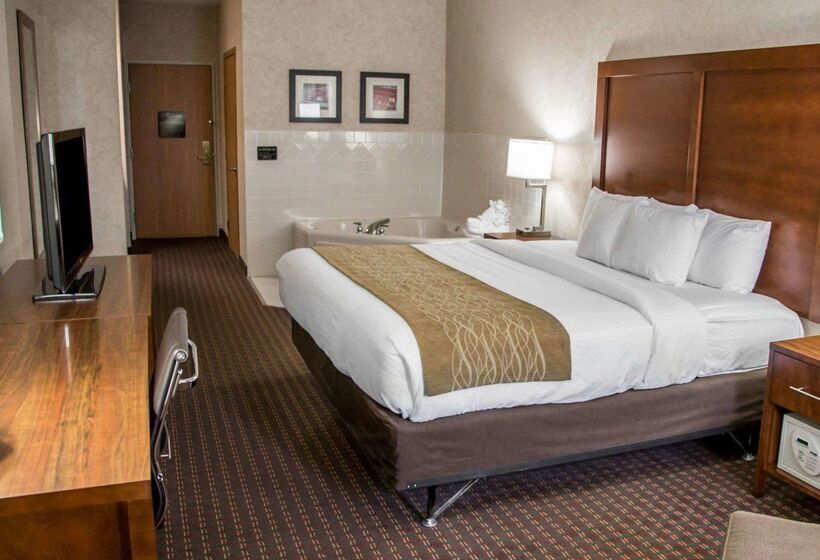 فندق Comfort Inn & Suites Riverview Near Davenport And I80