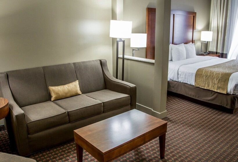 فندق Comfort Inn & Suites Riverview Near Davenport And I80