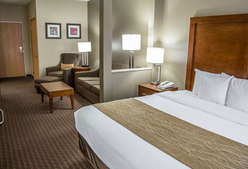 فندق Comfort Inn & Suites Riverview Near Davenport And I80