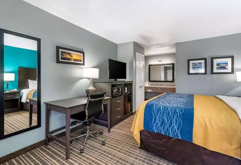 Отель Comfort Inn Sun City Center Ruskin Tampa South