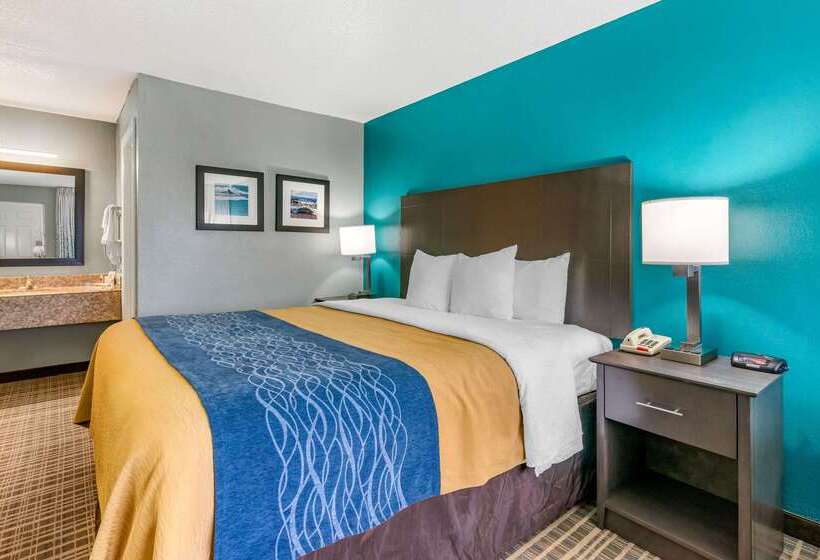 호텔 Comfort Inn Sun City Center   Ruskin   Tampa South