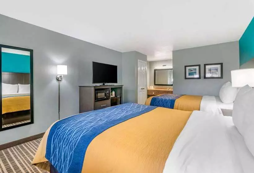Отель Comfort Inn Sun City Center Ruskin Tampa South