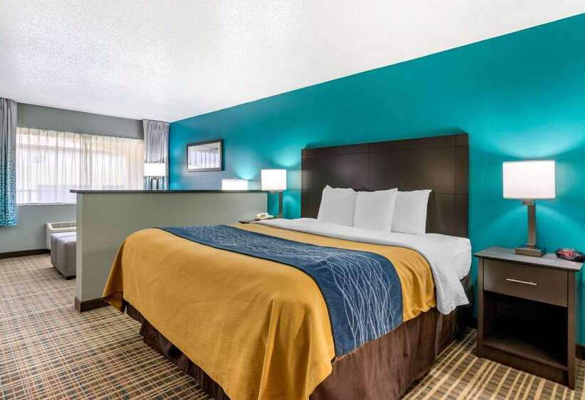 호텔 Comfort Inn Sun City Center   Ruskin   Tampa South