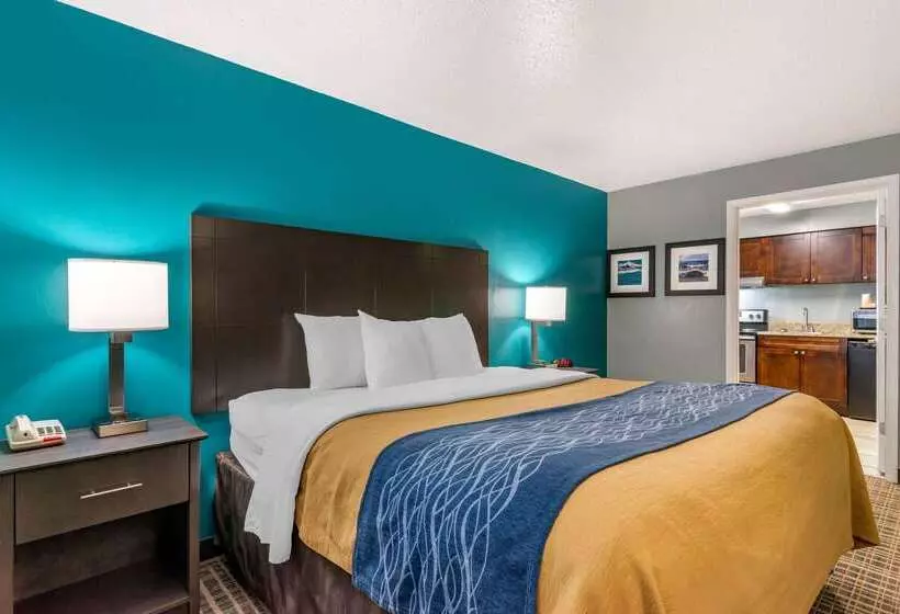 Отель Comfort Inn Sun City Center Ruskin Tampa South