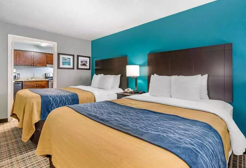 Отель Comfort Inn Sun City Center Ruskin Tampa South