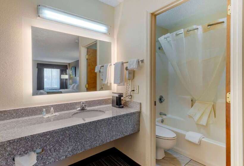 ホテル Quality Inn