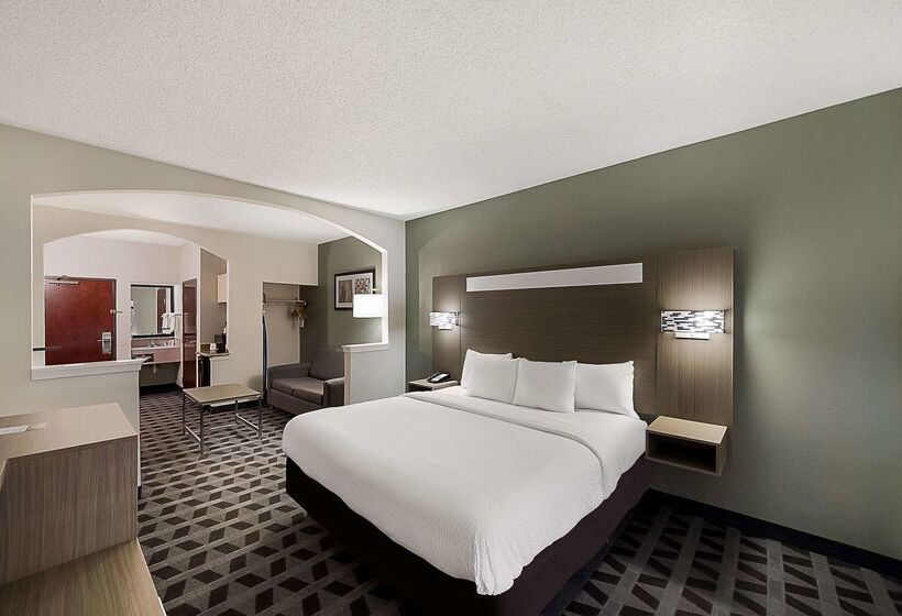 Hotel Quality Inn & Suites Dfw Airport South