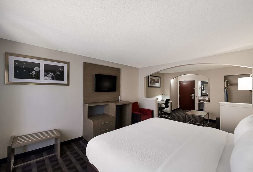 Hotel Quality Inn & Suites Dfw Airport South