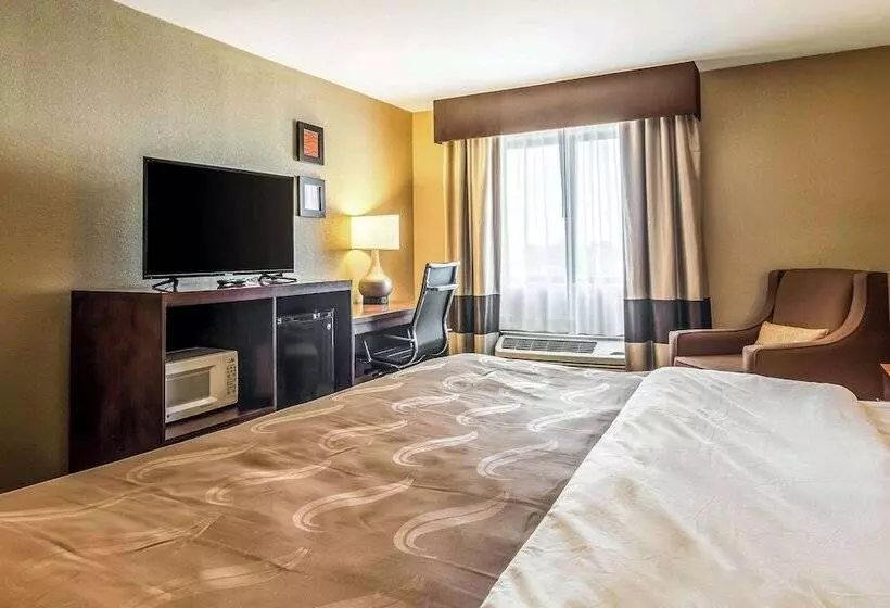 酒店 Quality Inn & Suites Salem Near I57