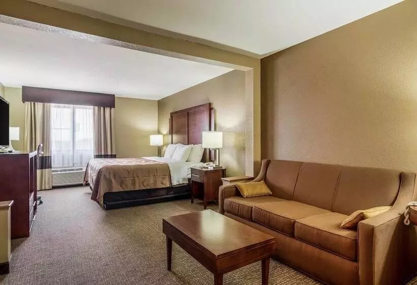 酒店 Quality Inn & Suites Salem Near I57