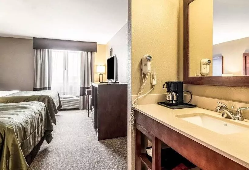 酒店 Quality Inn & Suites Salem Near I57