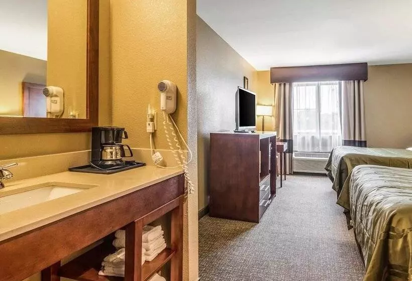 酒店 Quality Inn & Suites Salem Near I57