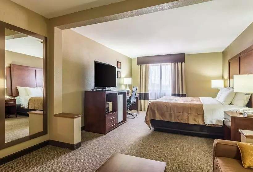 酒店 Quality Inn & Suites Salem Near I57