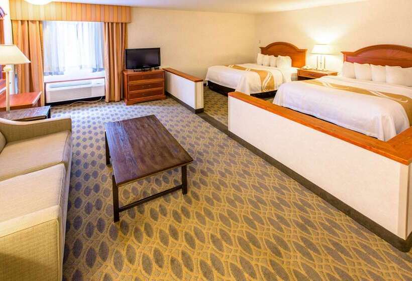 Szálloda Quality Inn & Suites University