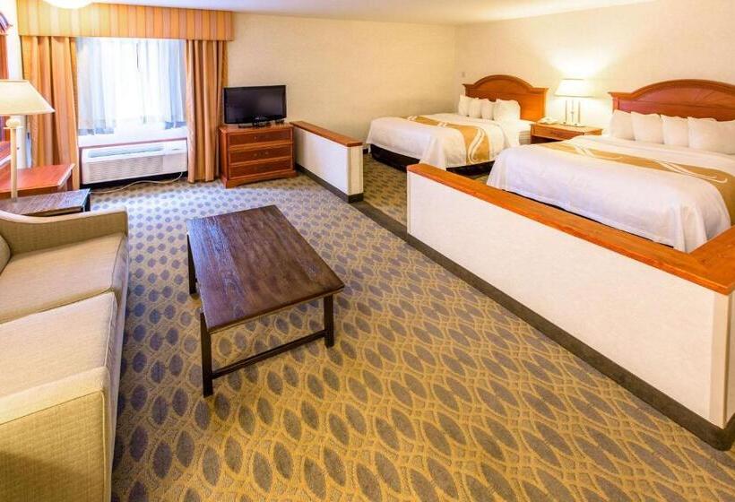 Szálloda Quality Inn & Suites University