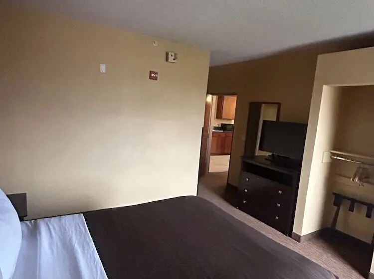 ホテル Shary Inn And Suites