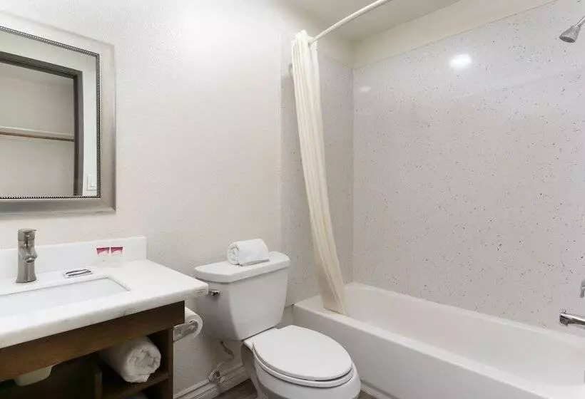 فندق Waterloo Inn