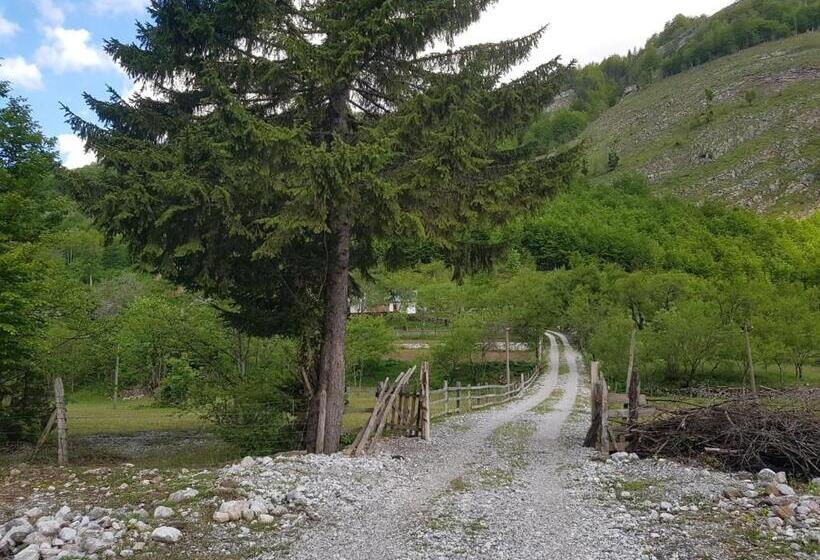 تختخواب و صبحانه Lazer çardaku Guesthouse