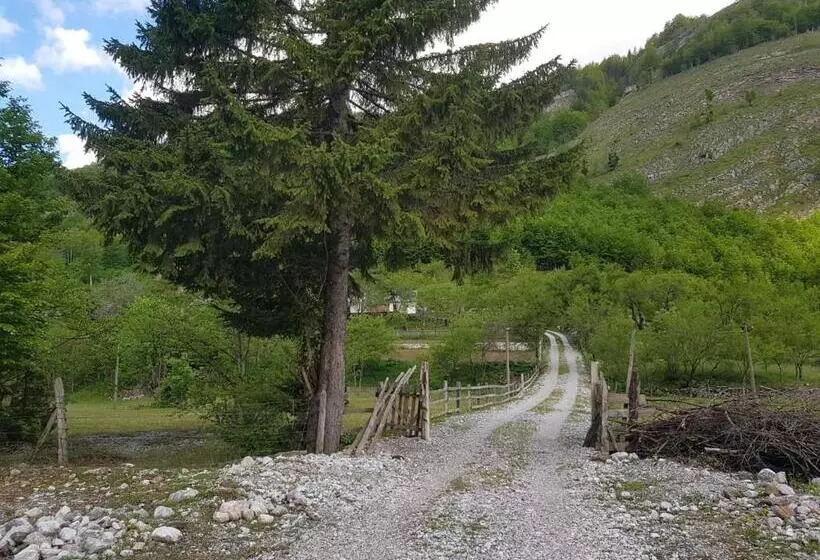 تختخواب و صبحانه Lazer çardaku Guesthouse