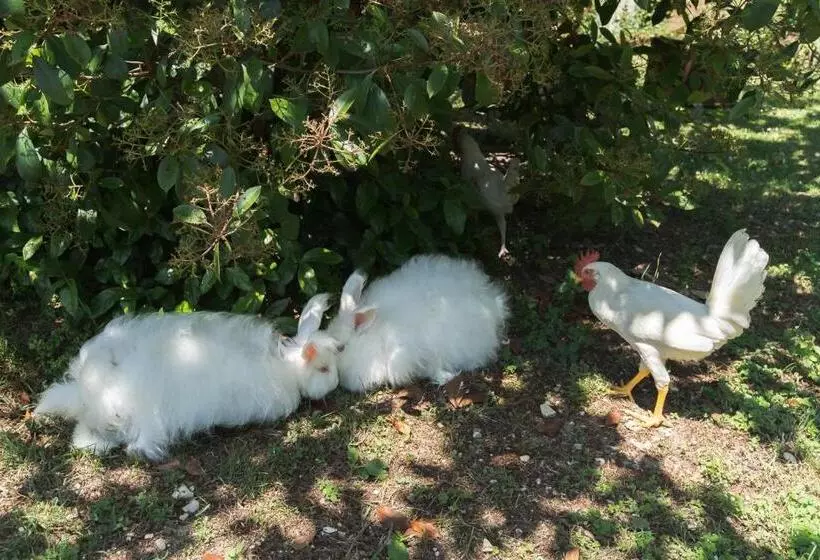 B&b Il Giardino Degli Incanti