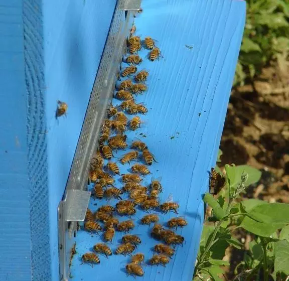 B&b Il Giardino Degli Incanti