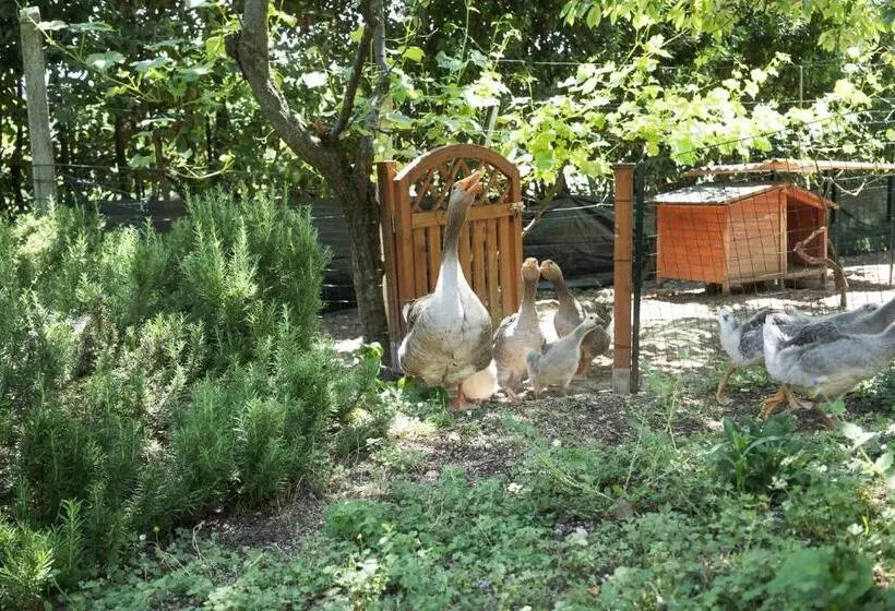 B&b Il Giardino Degli Incanti