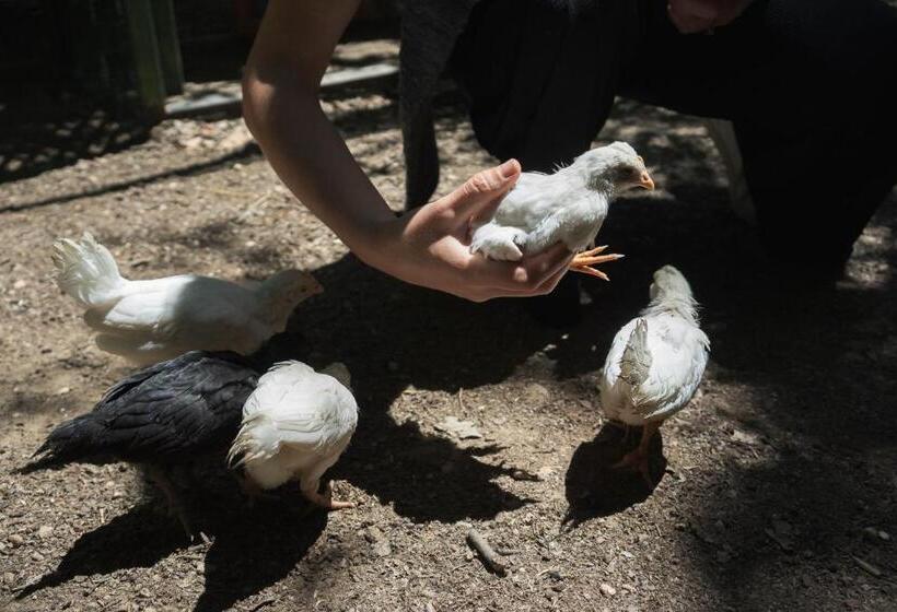 B&b Il Giardino Degli Incanti