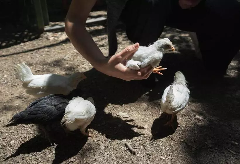 B&b Il Giardino Degli Incanti