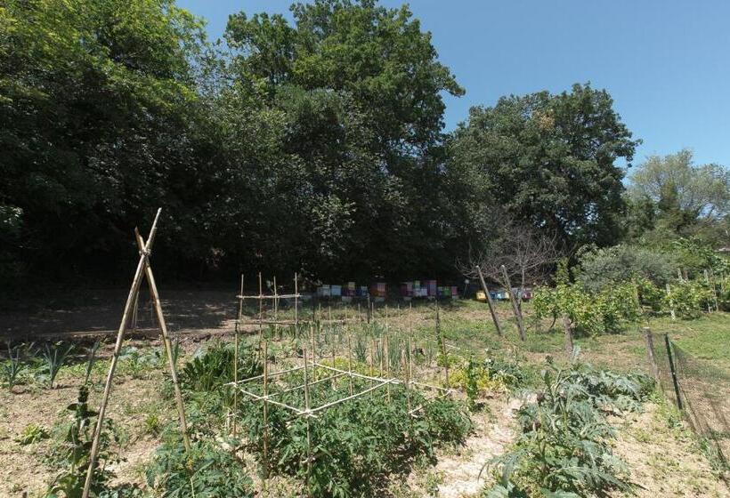 B&b Il Giardino Degli Incanti