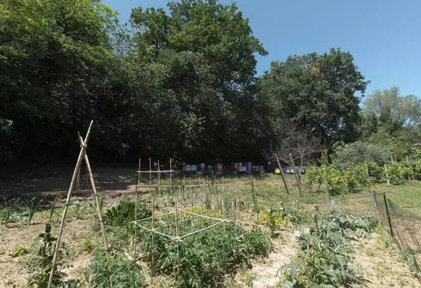 B&b Il Giardino Degli Incanti