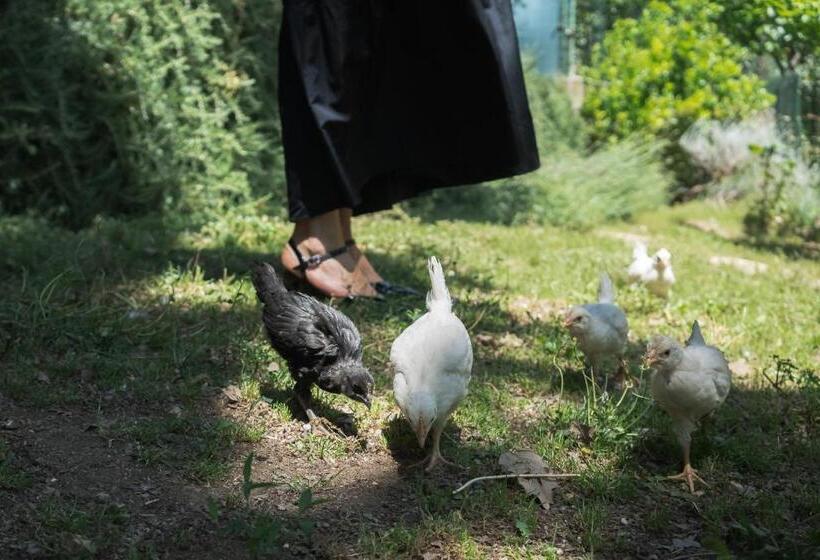 B&b Il Giardino Degli Incanti