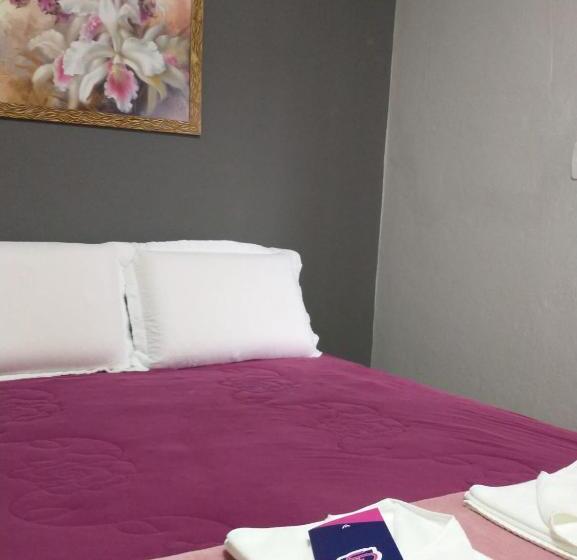 Отель Soralete Grupo Rosablue