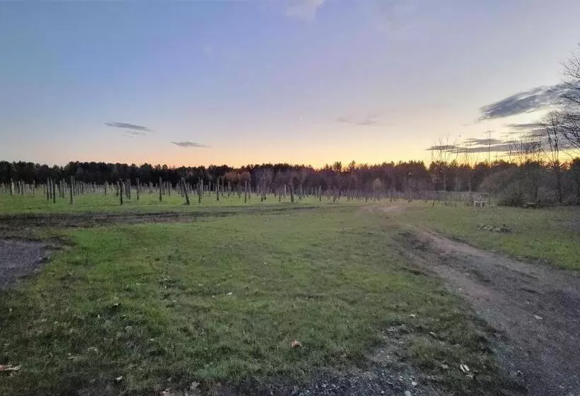 Auberge Du Vignoble Bromont