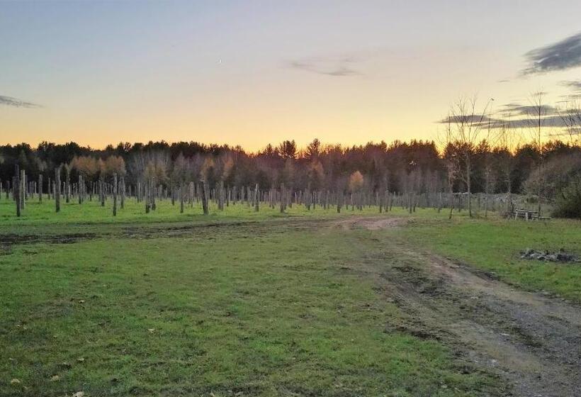 ユースホステル Auberge Du Vignoble Bromont