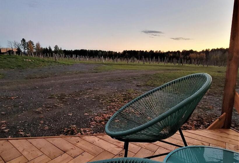 ユースホステル Auberge Du Vignoble Bromont