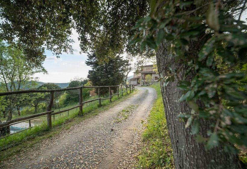 בית מלון כפרי Fattoria Di Cintoia