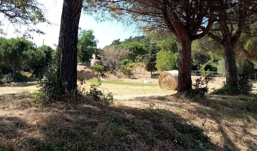 בית מלון כפרי Fattoria Di Cintoia
