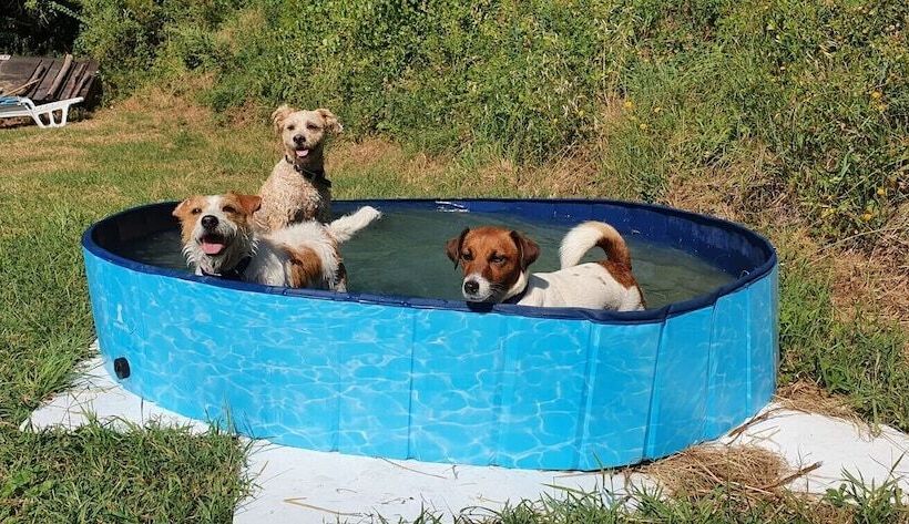 בית מלון כפרי Fattoria Di Cintoia