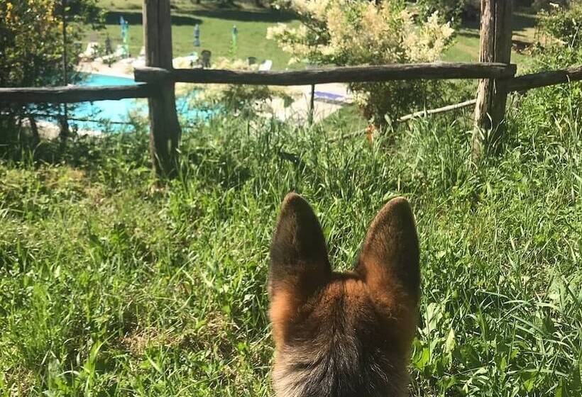 בית מלון כפרי Fattoria Di Cintoia