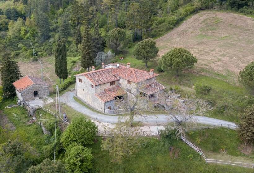 בית מלון כפרי Fattoria Di Cintoia