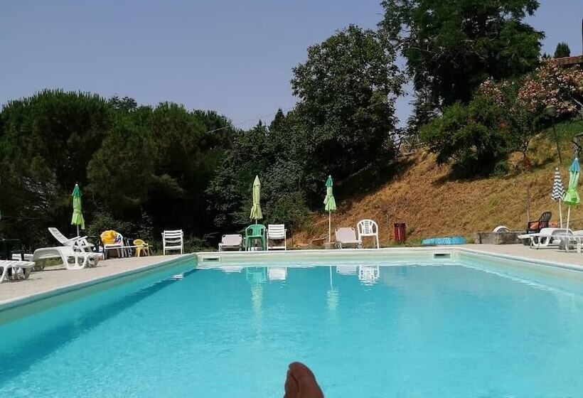 בית מלון כפרי Fattoria Di Cintoia