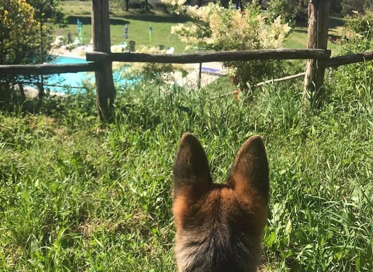 בית מלון כפרי Fattoria Di Cintoia