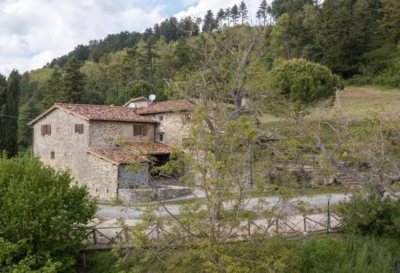Hotelli Fattoria Di Cintoia
