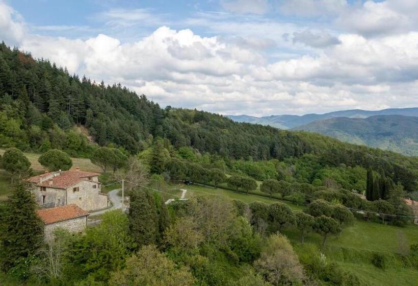 בית מלון כפרי Fattoria Di Cintoia