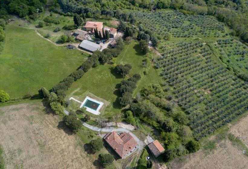 בית מלון כפרי Fattoria Di Cintoia