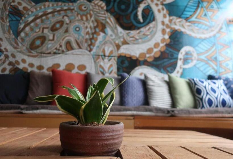 הוסטל Starfall Lodge