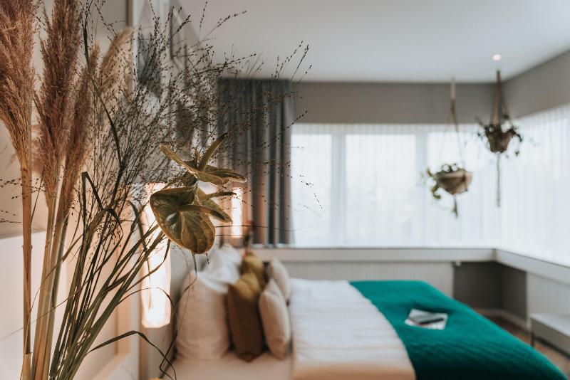 Отель The Blasky