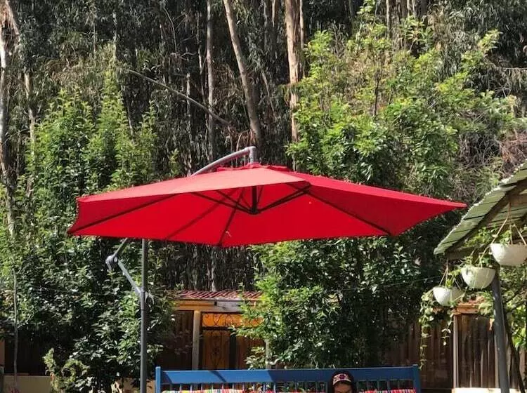 پانسیون Bull House