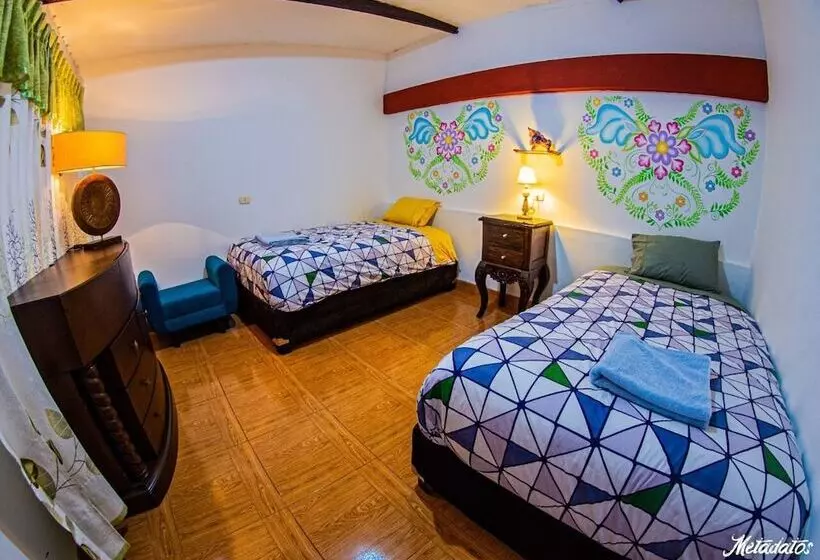 پانسیون Bull House